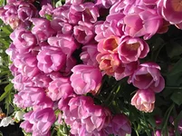  12.04.15, 14 21 35.webp