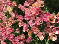  12.04.15, 14 21 58.webp