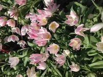  12.04.15, 14 22 51.webp