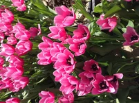  12.04.15, 14 26 12.webp