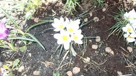 P4120791.webp
