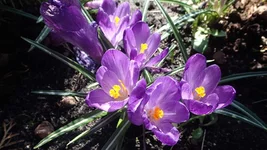P4120793.webp