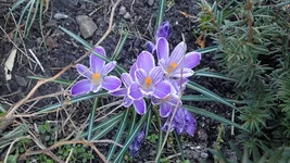 P4120802.webp