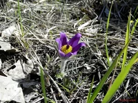 aqbeOuvs2wI.webp