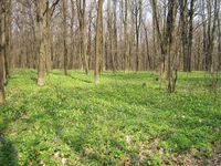 IMG_6253_1.webp