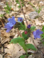 IMG_6285_1.webp
