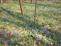 IMG_6292_1.webp
