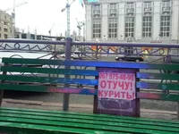 viber image.webp