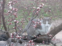 IMG_7104.jpg