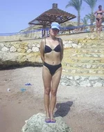 62.webp
