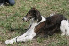 foto 007.webp