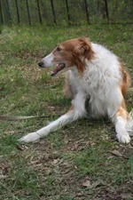 foto 008.webp