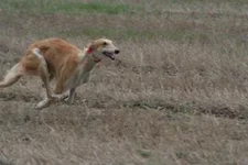 foto 134.webp