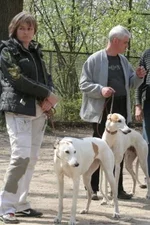 foto 048.webp