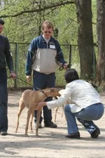 foto 049.webp