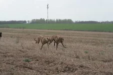 foto 139.webp