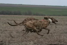 foto 142.webp
