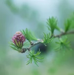 r-9842-.webp