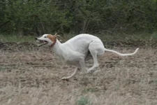 foto 164.webp