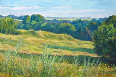 просторы-20x30_холст.webp