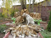 _12.11.08_Крым_1.webp