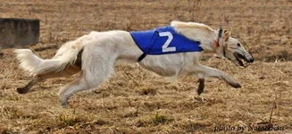 foto29.webp