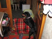 IMG_5167.JPG