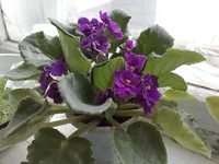 24042008012.jpg