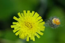 IMG_1833_изменение размера.jpg
