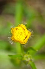 IMG_1857_изменение размера.jpg