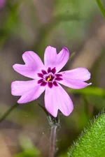IMG_1861_изменение размера.jpg