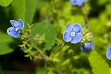 IMG_1863_изменение размера.jpg