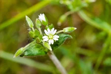 IMG_1864_изменение размера.jpg