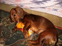 IMG_0960[1].webp