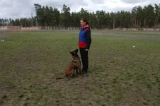 NGYrL8pYvoU.webp