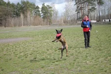 8G49_S5P7fA.webp
