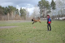 DvzLb4JeraU.webp