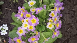 20150421_131257.webp