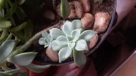 20150409_125007.webp