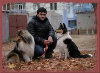 , Бэсси и Версаль..webp