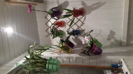 20150426_210916.jpg