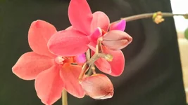 20150425_183813.jpg