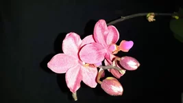 20150425_184249.jpg