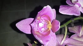 20141227_140244.jpg