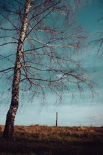 _MG_7032.webp
