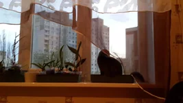 20150428_193709.jpg