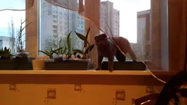 20150428_193730.jpg