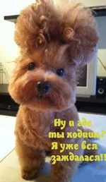 .webp