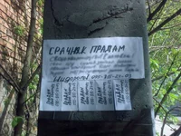 29042015076.webp