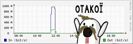 ddos.webp